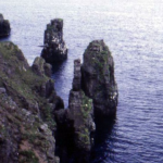 img-coll-0074