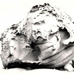 img-coll-0005