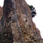 ferlid-018