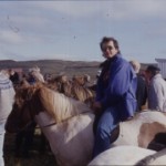 ferlid-034