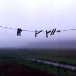 img-coll-0033