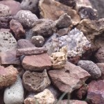 molar-05