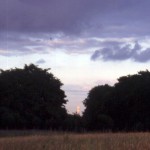 img-coll-0132