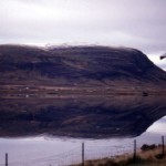 img-coll-0099