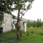 img-coll-1327