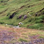 img-coll-0088