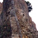 img-coll-0156