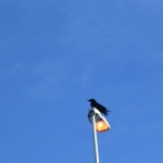 img-coll-0224
