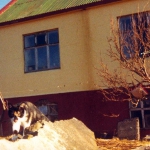 img-coll-0007