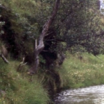 img-coll-0107