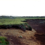 img-coll-0170
