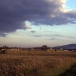 img-coll-0136