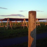 img-coll-0250