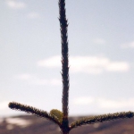 img-coll-0326