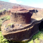 img-coll-1331