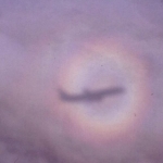 img-coll-0284