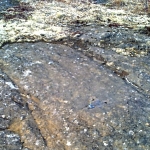 img-coll-0510