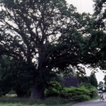 img-coll-0302