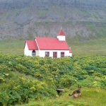 img-coll-0719